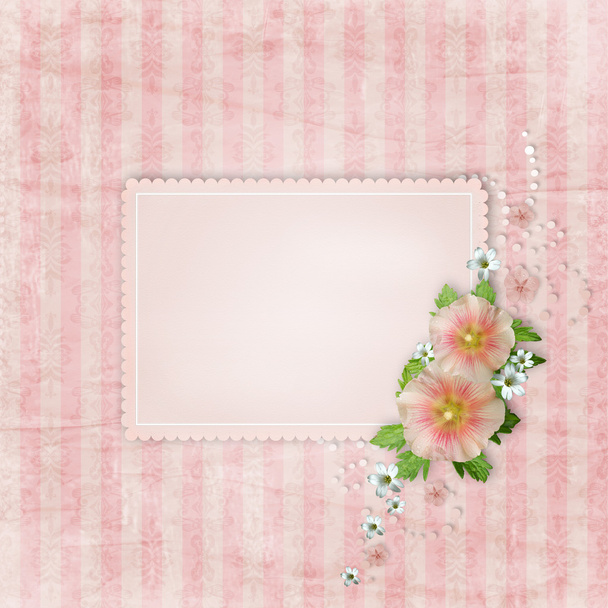 Vintage card and pink mallow - 写真・画像