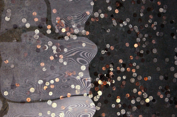 mince ve vodě - Fotografie, Obrázek