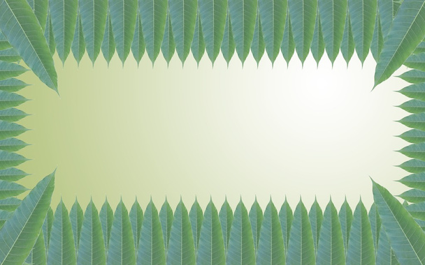 Marco de hojas verdes en el fondo de hermoso gradiente
 - Foto, imagen