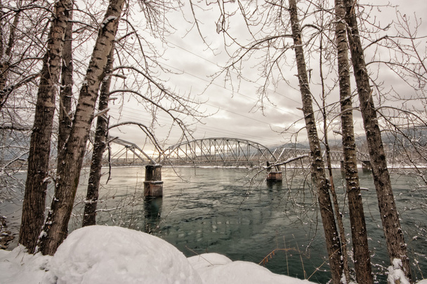 Winter Tree Framed Trestle Bridge - Photo, Image