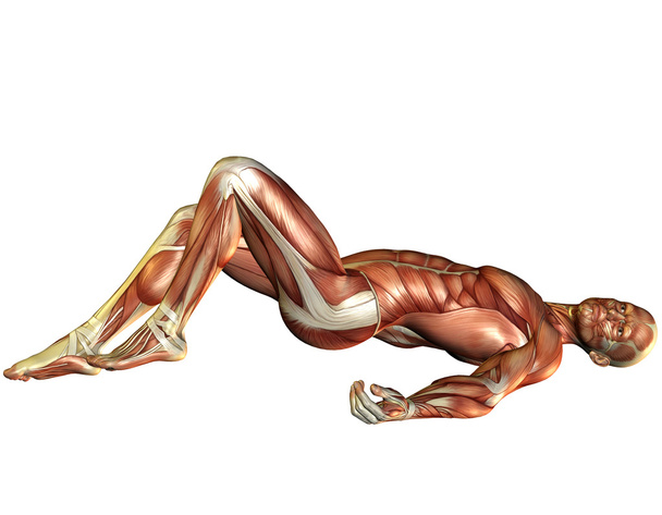 Uomo muscolare sdraiato
 - Foto, immagini