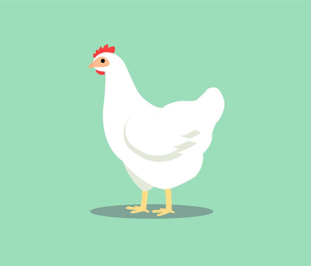 "Gallina blanca aislada sobre fondo gris. Ilustración del vector de pollo en color
." - Vector, Imagen