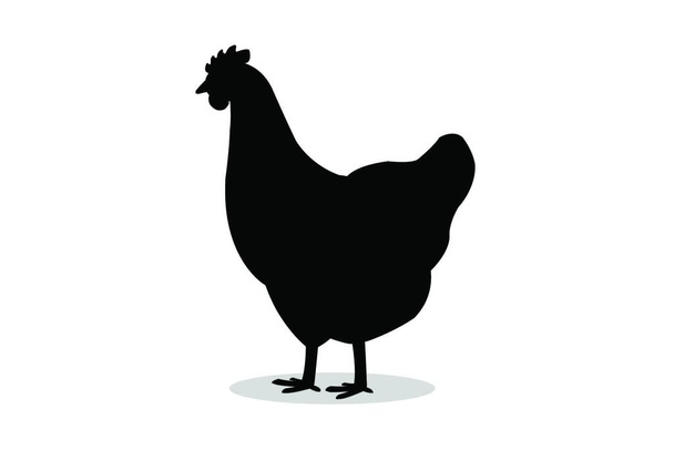 "die Silhouette eines Huhns auf weißem Hintergrund. Schattenbild Huhn auf weißem Hintergrund." - Vektor, Bild
