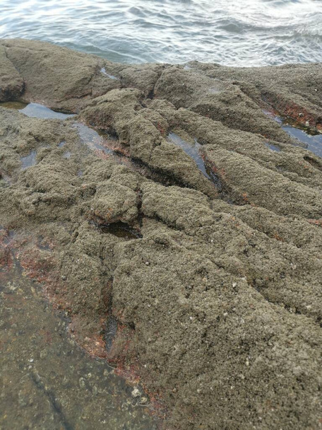 un montón de enormes rocas que se encuentran a lo largo de la costa - Foto, imagen