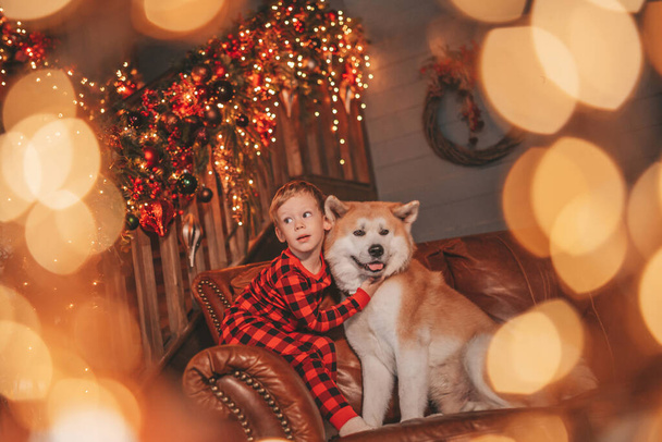Gülümse küçük çocuk Noel ağacında mucizevi Noel Baba 'yı bekleyen köpekle eğleniyor. Kırmızı kareli uykucu neşeli çocuk yeni yılı kutluyor sevimli akita inu evcil çelenk ışıklarına sarılıyor 25 Aralık arifesi - Fotoğraf, Görsel