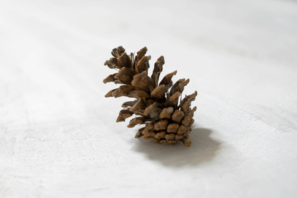 Pine cone winter decoration on white background. - Photo, Image