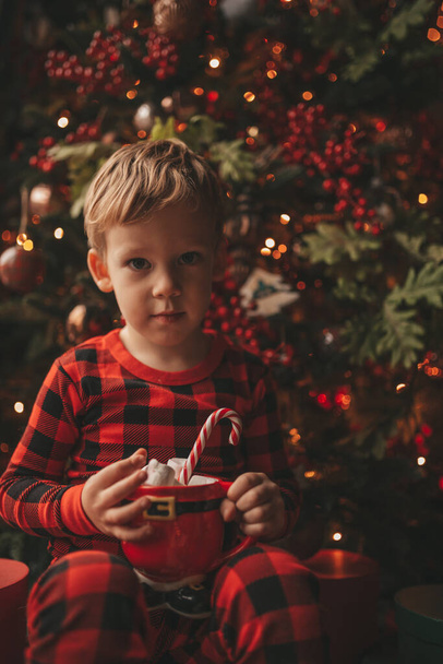 Happy little boy dreamer waiting at miracle Santa enjoy sweets color lollipop. Red checkered sleepwear cheerful kid celebrating new year hold Xmas cup with marshmallows near noel tree eve 25 december - Photo, Image