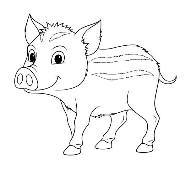 Маленький дикий кабан мультфільм тварин ілюстрація BW
 - Вектор, зображення
