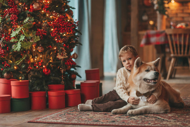 Sorrindo criança pequena se divertindo com o cão esperando o Papai Noel milagre na árvore de noel. Criança alegre em roupa casual celebrando o ano novo abraçando seu bonito akita inu pet eve 25 dezembro guirlandas luzes bokeh - Foto, Imagem