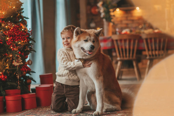 小さな子供たちが犬と一緒に奇跡のサンタを待っているのを笑っています。Cheerful kid in casual outfit celebrating new year hugging his cute akita inu pet eve 25 december garlands lights bokeh - 写真・画像