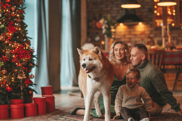 Πορτρέτο της ευτυχισμένης οικογένειας σε πλεκτό μπεζ πουλόβερ περιμένει Σάντα εσωτερική με Akita Inu. Χαμογελώντας γονείς αγκαλιάζει και φιλάει το γιο του παραμονή 25 Δεκέμβριος γιορτάζει Χριστούγεννα με γιρλάντες φώτα Noel δέντρο - Φωτογραφία, εικόνα