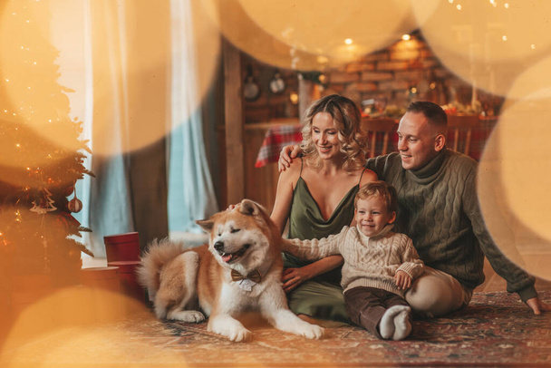 秋田犬とサンタ屋内を待っているニットベージュのセーターで幸せな家族の肖像画。笑顔の両親抱擁とキス彼の小さな息子eve 25 12月祝xmasとともにガーランドライト｜Noel tree - 写真・画像