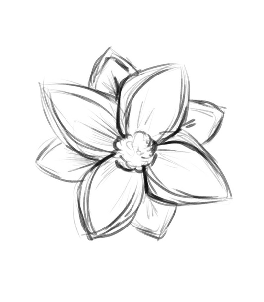 Otwarty szkic kwiatu lotosu, ilustracja czarno-biała - Zdjęcie, obraz