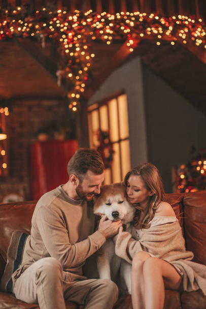 Portrét mladého krásného páru objímajícího se v interiéru 25. prosince se psem akitou inu. Lidé v pletených stylové oblečení objetí polibky něha slaví nový rok věnce vánoční světla Noel strom doma - Fotografie, Obrázek