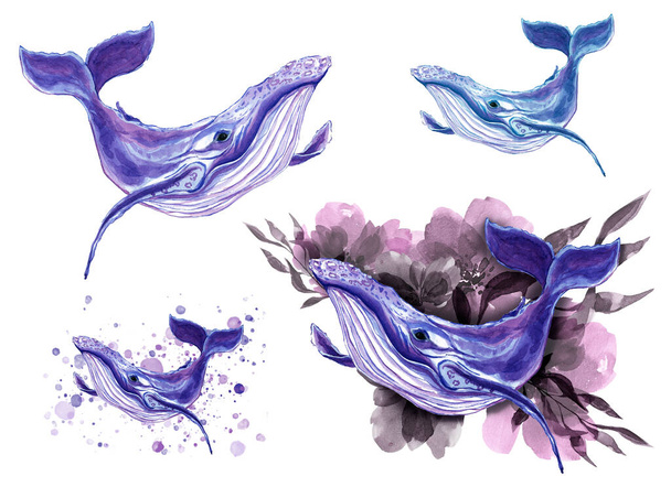 Drawn watercolor artistic whale. Sea. Ocean. Tattoo. Decorative illustration. T-shirt print. Printing on clothes. Sea creatures. Set of watercolor whales. Flowers. Watercolor splashes. - Photo, Image