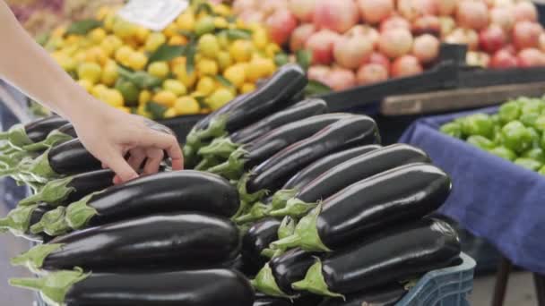 Un acheteur sans visage choisit l'aubergine au marché fermier. - Séquence, vidéo