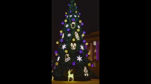 Όμορφο χριστουγεννιάτικο δέντρο στην πλατεία τη νύχτα, αστέρι λάμπει - Πλάνα, βίντεο