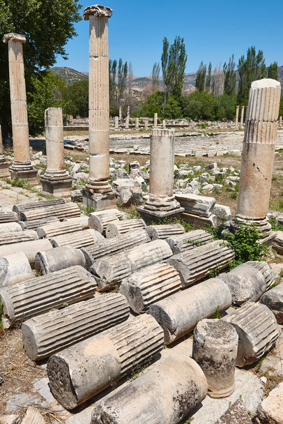 Archeological site. Columns. Sanctuary of Aphrodite. Aphrodisias, Turkey - Foto, imagen
