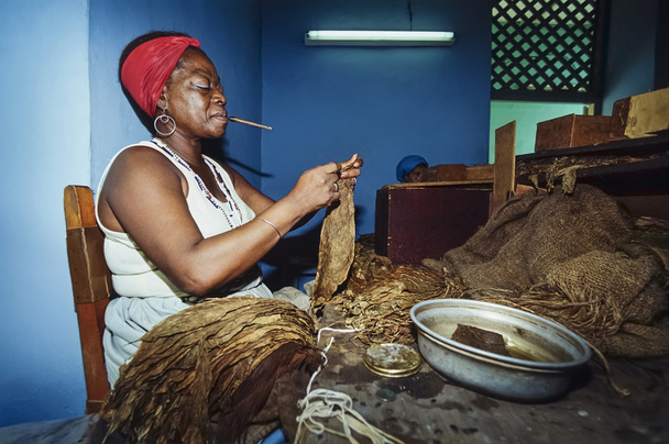 Sikaritehtaassa työskentelevä nainen
 - Valokuva, kuva
