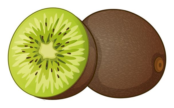 Fruta kiwi - Vector, Imagen