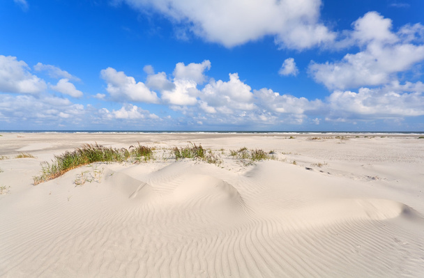 піщані дюни і блакитне небо на узбережжі
 - Фото, зображення