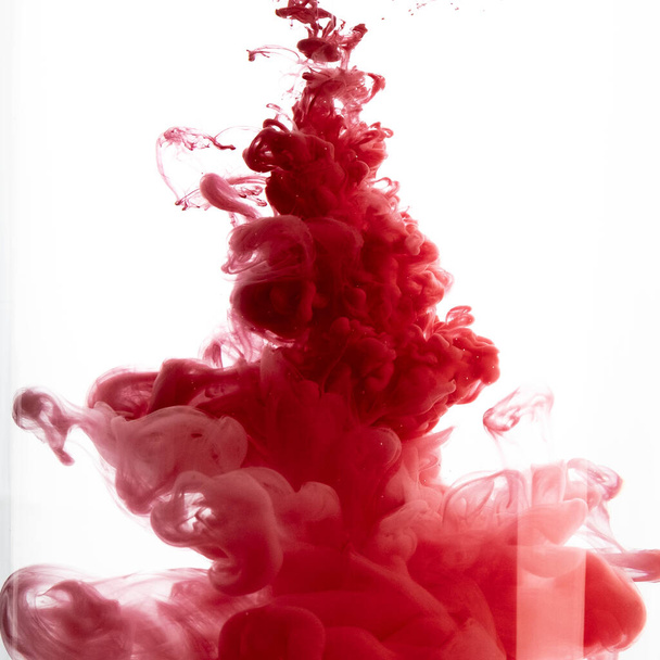 Red color flowing in smoke forms, smooth abstract moving by acrylic paint - Φωτογραφία, εικόνα