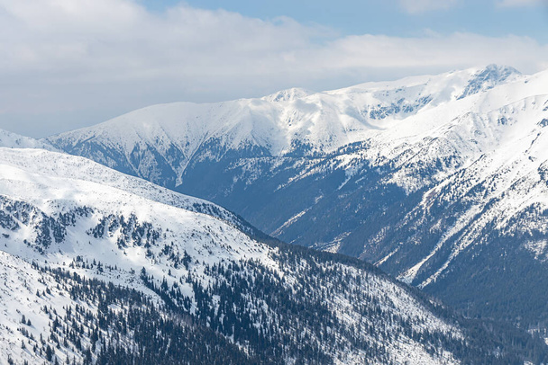 Zimowy krajobraz w Tatrach. Polska - Zdjęcie, obraz