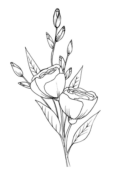 ilustração flor esboço à mão livre esboço ilustração vetor 10 - Vetor, Imagem