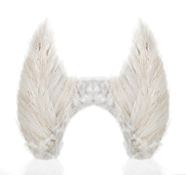 Pair of wings made from white feathers - Photo, Image