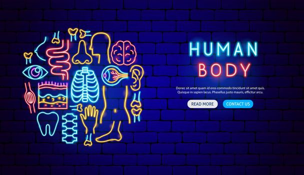 Body Organ Neon Banner Design (em inglês). Ilustração vetorial do símbolo da ciência médica. - Vetor, Imagem