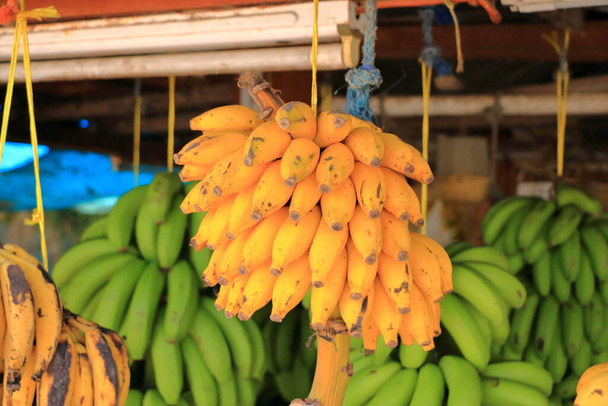 オマーンのSalalahでバナナや他の果物を販売する道路脇の果物の屋台 - 写真・画像