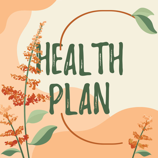 Leyenda conceptual Plan de salud, tipo de seguro de enfoque empresarial que cubre los servicios médicos de alto costo - Foto, Imagen
