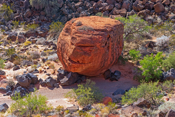Необычный камень на дне высохшего ручья в парке штата Юта Снежный Каньон - Фото, изображение