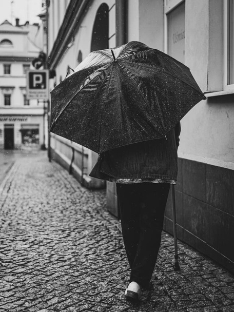 woman with umbrella on rainy day in town - Φωτογραφία, εικόνα