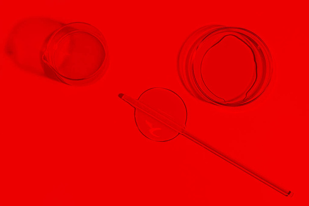 чашка Петри, кровь, красный, лабораторные, лабораторные инструменты, включения, жидкость, гель, плазма, жидкость - Фото, изображение