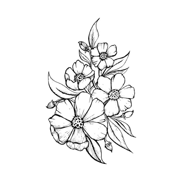 hand drawn sketch black and white leaves flower illustration vector - Vector, Image