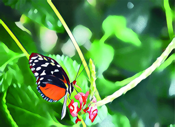 "close up butterfly in nature" - Vector, Image