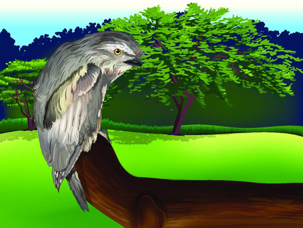 ilustrace divokého ptáka - Vektor, obrázek