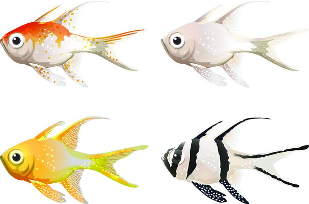 zeedieren vector illustratie   - Vector, afbeelding