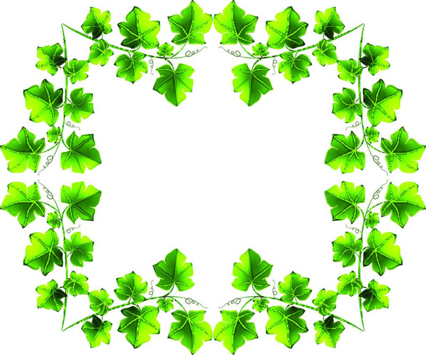 Leafy border design vector illustration    - Vektor, obrázek