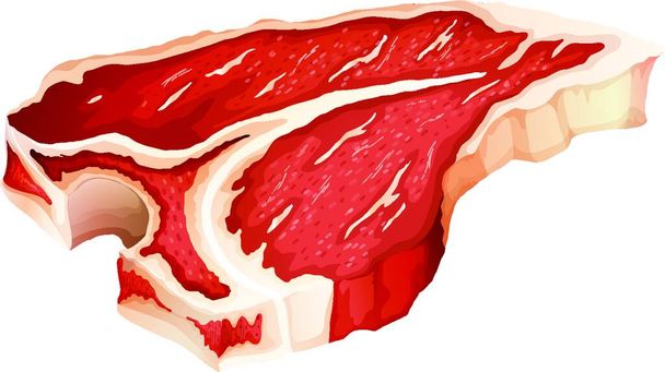 T-bone meat, vector illustration simple design - Vector, Image