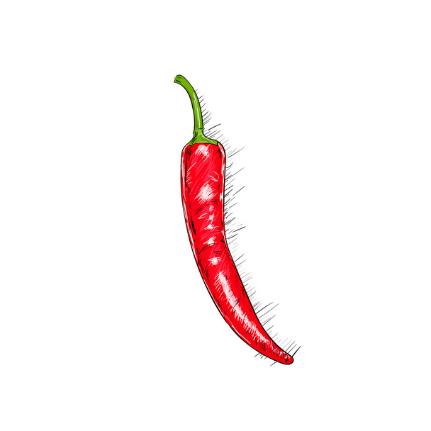 Red chili pepper - Vector, afbeelding