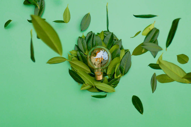 Electricity and green energy concept.Electric light bulb and green flying leaves on a green background.Alternative natural energy sources.Natural renewable clean energy.  - Photo, Image