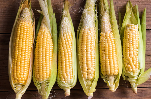 Corn on the cob, sweet corn for cooking food, fresh corn on wooden background, harvest ripe corn organic - top view - Фото, изображение