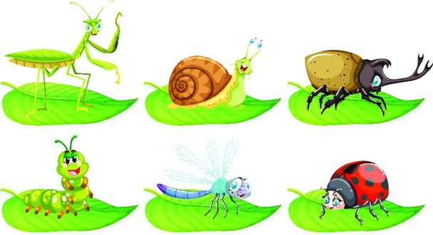"Different types of bugs on green leaves" - Vector, Image