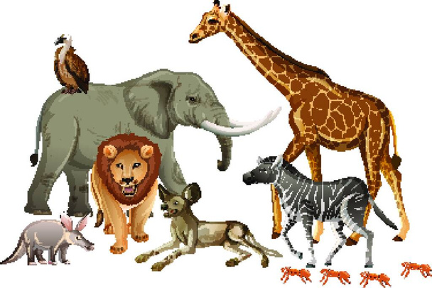 "Grupa dzikich zwierząt afrykańskich na białym tle" - Wektor, obraz
