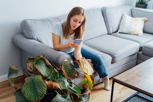 Young woman taking picture on phone of dried, sunburn leaf of potted plant Calathea. Houseplants diseases. Disorders Identification and Treatment search. Home gardening mobile app. Selective focus. - Foto, Bild