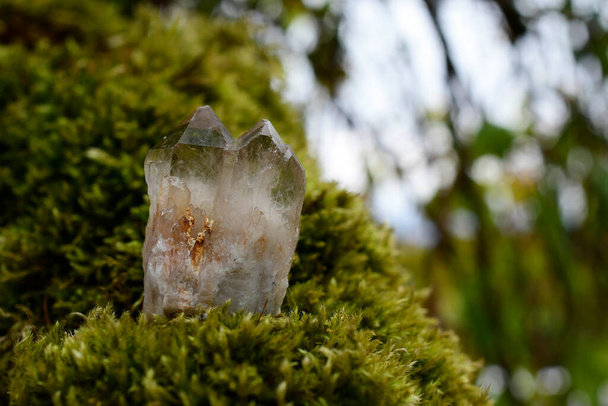 Een close-up afbeelding van een dubbel afgewerkte rokerige kwarts kristal op een stuk dik groen mos.  - Foto, afbeelding