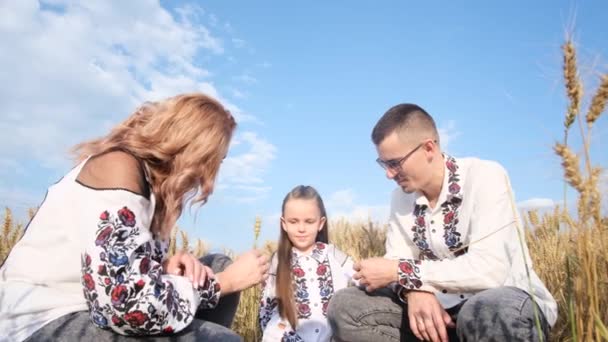 Μια νεαρή ουκρανική οικογένεια με ένα παιδί σε ένα χωράφι με σιτάρι, είναι ντυμένοι με εθνικά ρούχα. Μια όμορφη ουκρανική οικογένεια - Πλάνα, βίντεο