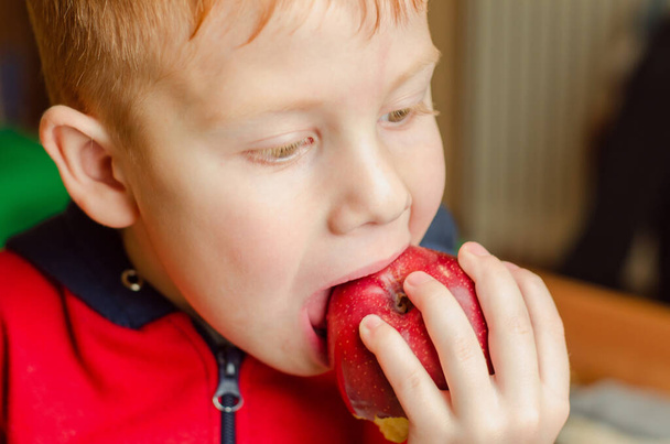 Viisivuotias poika puree punaista omenaa. Poika syö omenaa, lähikuva - Valokuva, kuva